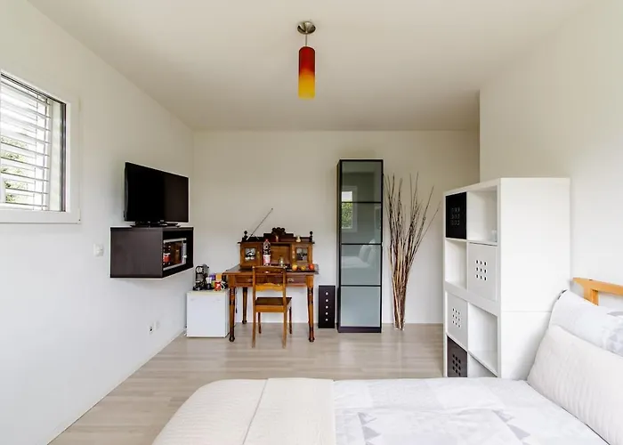 住宿加早餐酒店 Montaney Guests House - Epfl